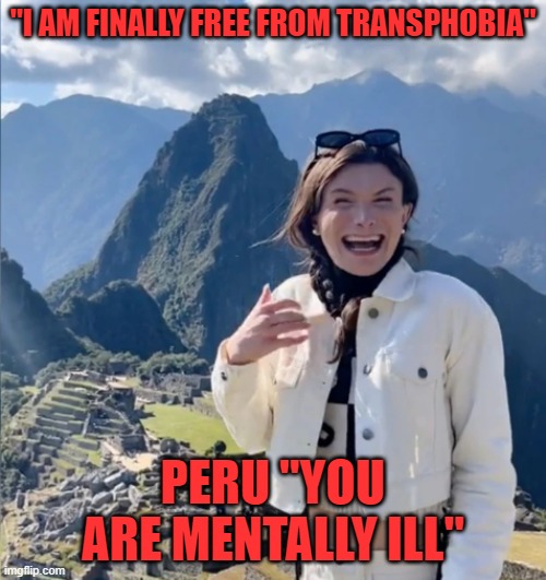 Mental illness declaration | "I AM FINALLY FREE FROM TRANSPHOBIA"; PERU "YOU ARE MENTALLY ILL" | image tagged in dylan,bud light,transgender,mental illness,mental health,trans | made w/ Imgflip meme maker