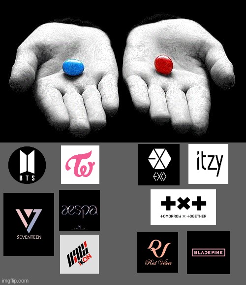 Kpop stans, choose wisely | image tagged in bts,blackpink,twice,exo,seventeen,txt | made w/ Imgflip meme maker