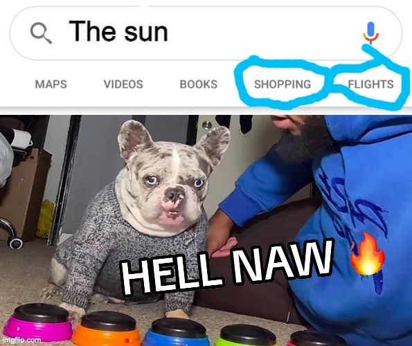 Credits: JeremiahPilot | image tagged in memes,funny,animals,dogs,hell naw,you have been eternally cursed for reading the tags | made w/ Imgflip meme maker