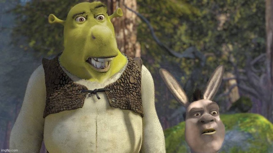 so cursed | image tagged in memes,funny,cursed image,shrek,face swap | made w/ Imgflip meme maker
