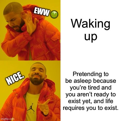 Drake Hotline Bling | Waking up; EWW 🤢; Pretending to be asleep because you’re tired and you aren’t ready to exist yet, and life requires you to exist. NICE. | image tagged in memes,drake hotline bling | made w/ Imgflip meme maker