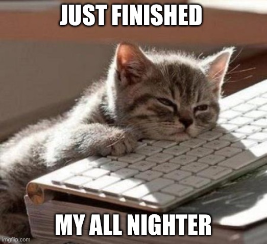 tired cat | JUST FINISHED; MY ALL NIGHTER | image tagged in tired cat | made w/ Imgflip meme maker