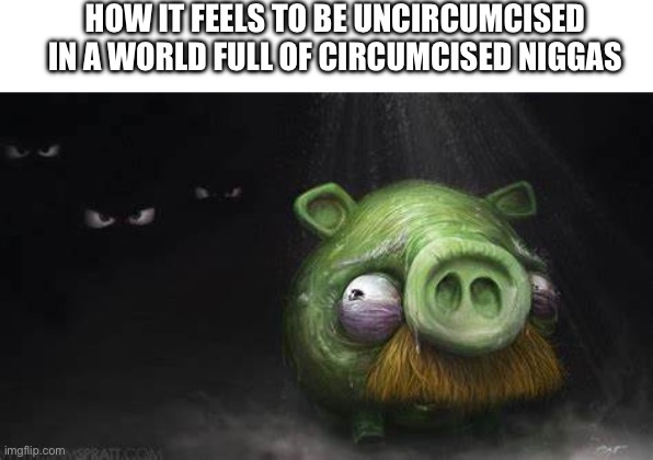 How it feels… | HOW IT FEELS TO BE UNCIRCUMCISED IN A WORLD FULL OF CIRCUMCISED NIGGAS | image tagged in realistic pig in dark | made w/ Imgflip meme maker