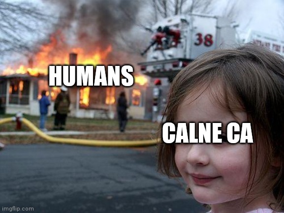 The cursed Hatsune Miku... | HUMANS; CALNE CA | image tagged in memes,hatsune miku | made w/ Imgflip meme maker