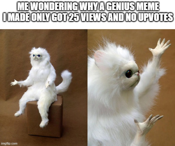 I bet this one gets 25 too | ME WONDERING WHY A GENIUS MEME I MADE ONLY GOT 25 VIEWS AND NO UPVOTES | image tagged in memes,persian cat room guardian,funny,funny memes,why are you reading the tags,why | made w/ Imgflip meme maker