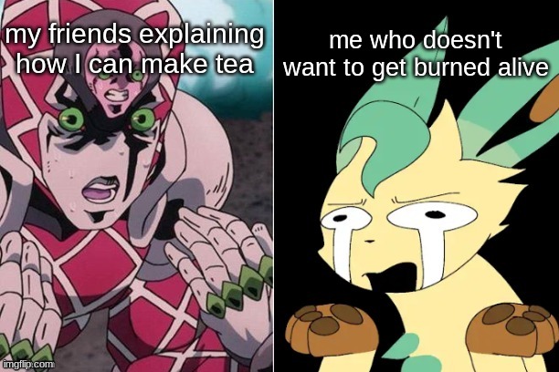 AHHHHHHH | me who doesn't want to get burned alive; my friends explaining how I can make tea | image tagged in concerned leafeon | made w/ Imgflip meme maker