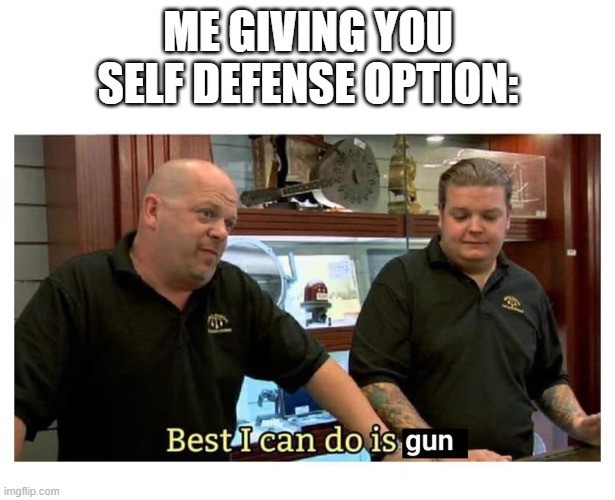 best i can do is gun | ME GIVING YOU SELF DEFENSE OPTION: | image tagged in best i can do is gun | made w/ Imgflip meme maker