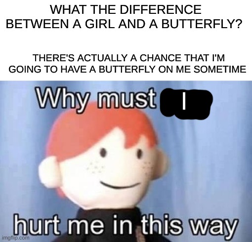 -_- lol | WHAT THE DIFFERENCE BETWEEN A GIRL AND A BUTTERFLY? THERE'S ACTUALLY A CHANCE THAT I'M GOING TO HAVE A BUTTERFLY ON ME SOMETIME; I | image tagged in why must you hurt me this way | made w/ Imgflip meme maker