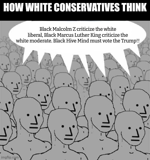 Have u researched those ppl beyond 1 quote u learned 3 yrs ago? | HOW WHITE CONSERVATIVES THINK; Black Malcolm Z criticize the white liberal, Black Marcus Luther King criticize the white moderate. Black Hive Mind must vote the Trump!! | image tagged in conservatives,npc,attack,racist | made w/ Imgflip meme maker