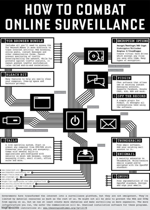 It is too late, I figured out how to combat Internet surveillance >:3 | image tagged in simothefinlandized,internet,online surveillance,computers,infographics,tutorial | made w/ Imgflip meme maker