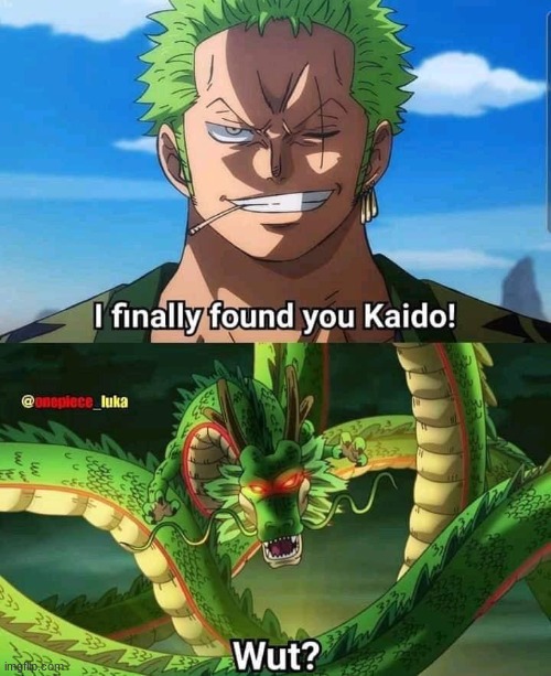 I wish for good sense of direction | image tagged in zoro,lost,one piece | made w/ Imgflip meme maker