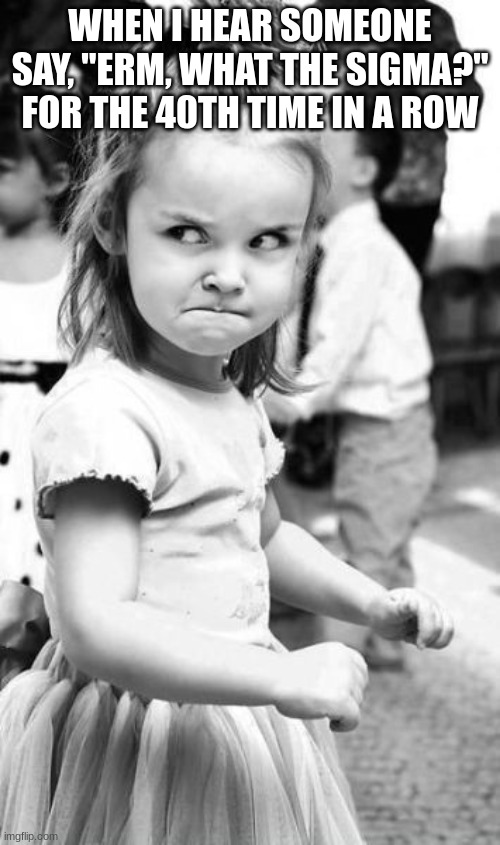 Angry Toddler Meme | WHEN I HEAR SOMEONE SAY, "ERM, WHAT THE SIGMA?" FOR THE 40TH TIME IN A ROW | image tagged in memes,angry toddler | made w/ Imgflip meme maker