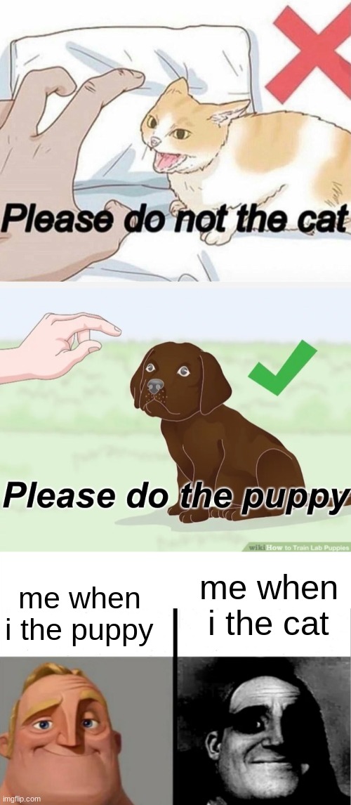 me when i the cat; me when i the puppy | image tagged in please do not the cat,please do the puppy,teacher's copy | made w/ Imgflip meme maker
