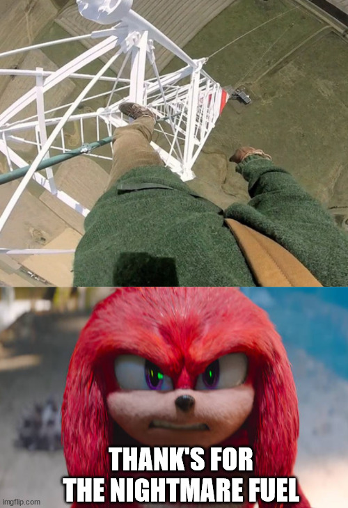 Knuckles meet lattice climbing | THANK'S FOR THE NIGHTMARE FUEL | image tagged in gittersteigen,lattice climbing,sonic the hedgehog,memes,tower | made w/ Imgflip meme maker