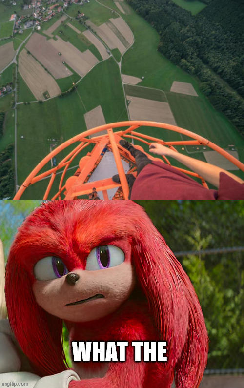 knuckles | WHAT THE | image tagged in lattice climbing,knuckles,meme,memes,lattice climber,germany | made w/ Imgflip meme maker