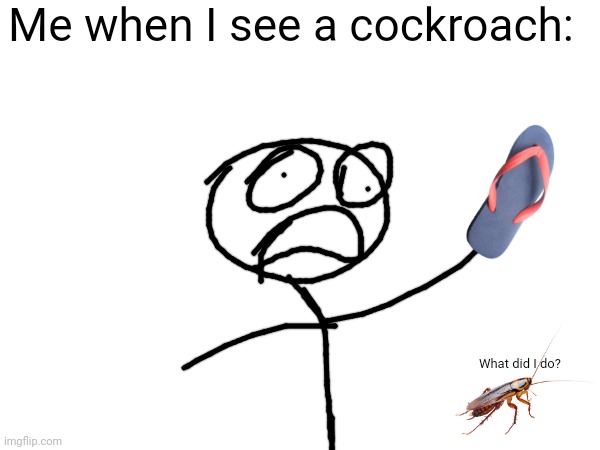 Me when I see a cockroach:; What did I do? | made w/ Imgflip meme maker