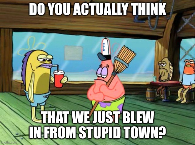 Did you just blow in from stupid town | DO YOU ACTUALLY THINK THAT WE JUST BLEW IN FROM STUPID TOWN? | image tagged in did you just blow in from stupid town | made w/ Imgflip meme maker