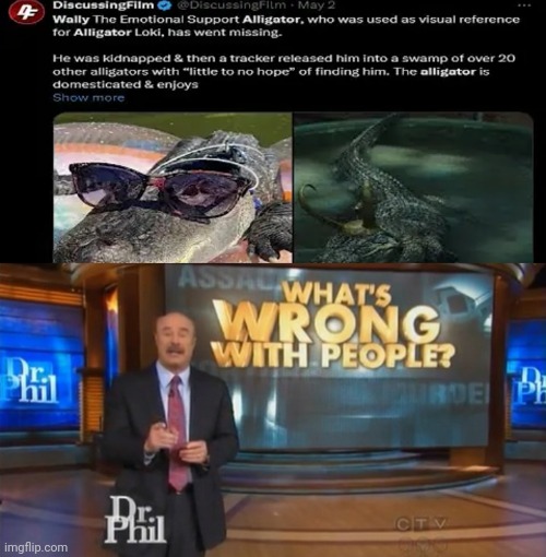 What came to mind when these people decided to steal a crocodile | image tagged in dr phil what's wrong with people,shitpost,oh wow are you actually reading these tags | made w/ Imgflip meme maker