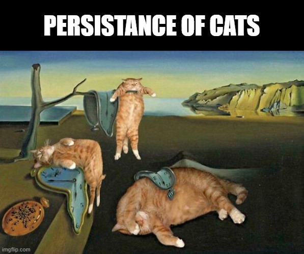 Lost Dali Masterpiece | PERSISTANCE OF CATS | image tagged in cats | made w/ Imgflip meme maker
