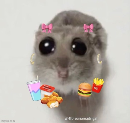 Hampter | made w/ Imgflip meme maker