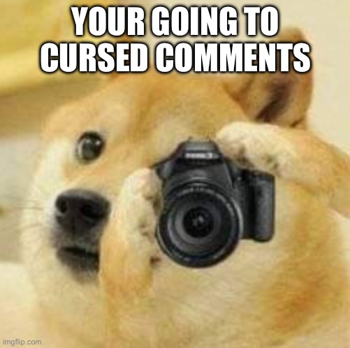 Doge taking a picture | YOUR GOING TO CURSED COMMENTS | image tagged in doge taking a picture | made w/ Imgflip meme maker