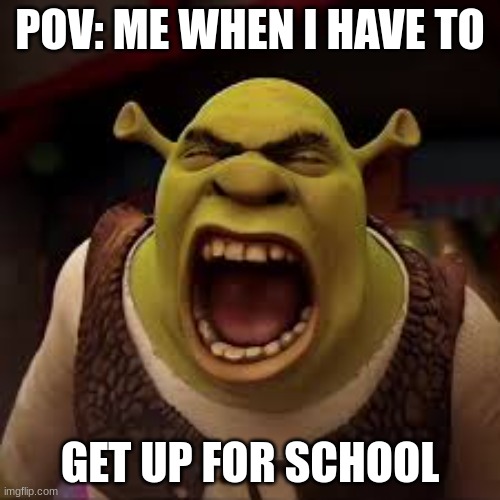 Shrek on a school morning | POV: ME WHEN I HAVE TO; GET UP FOR SCHOOL | image tagged in puss in boots mad | made w/ Imgflip meme maker