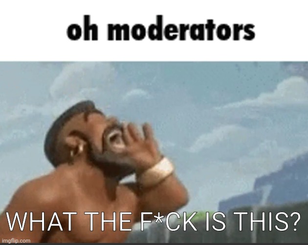 oh mods | WHAT THE F*CK IS THIS? | image tagged in oh mods | made w/ Imgflip meme maker