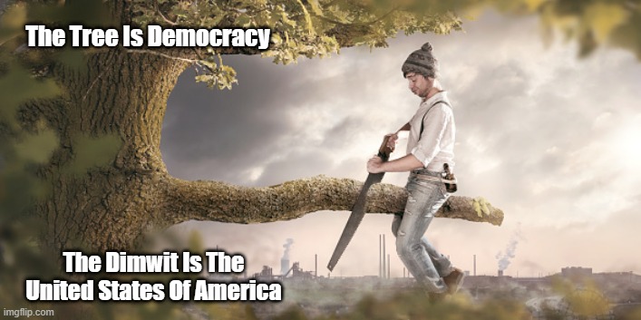 Most Contemporary American Conservatives Are Dimwits | The Tree Is Democracy; The Dimwit Is The United States Of America | image tagged in democracy,autocracy | made w/ Imgflip meme maker