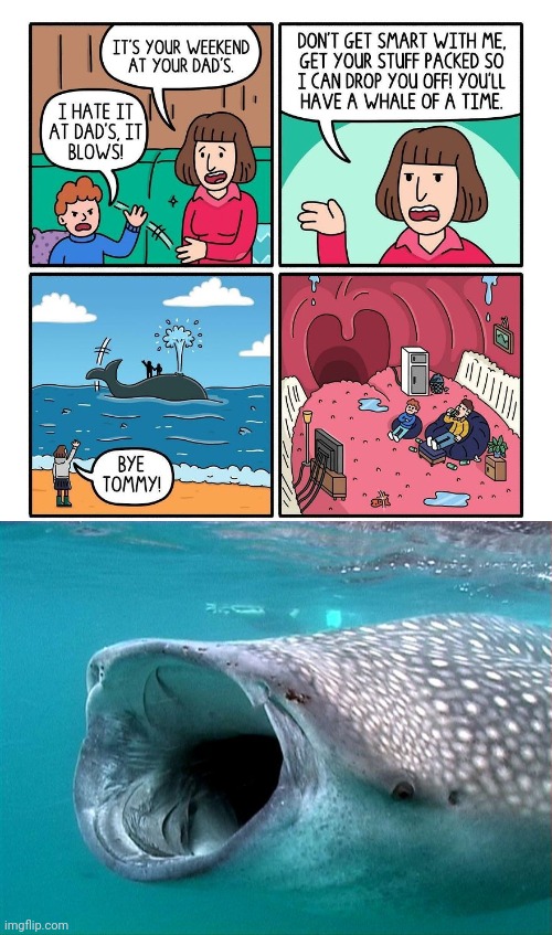 Inside of the whale | image tagged in whale shark,comic,dark humor,memes,whale,whales | made w/ Imgflip meme maker