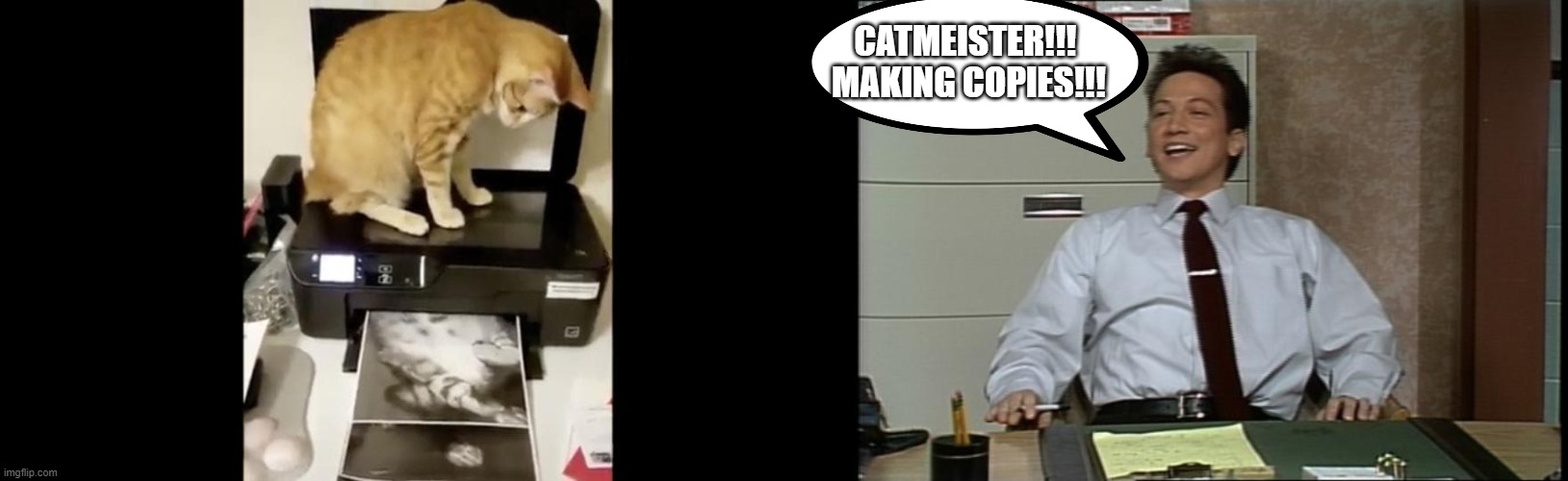 CATMEISTER!!! 
MAKING COPIES!!! | image tagged in makin copies | made w/ Imgflip meme maker