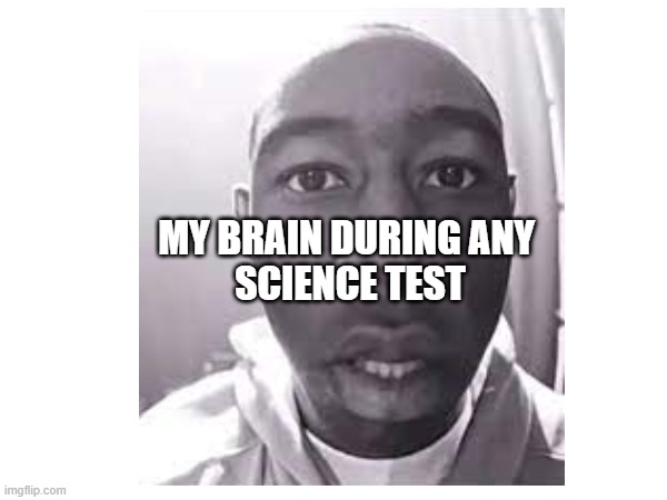 my brain when science | MY BRAIN DURING ANY 
SCIENCE TEST | image tagged in funny | made w/ Imgflip meme maker