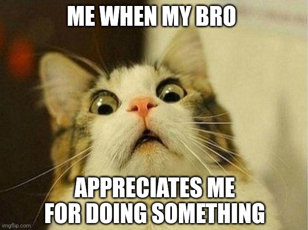 Suspicious from Bro | ME WHEN MY BRO; APPRECIATES ME FOR DOING SOMETHING | image tagged in memes,scared cat | made w/ Imgflip meme maker