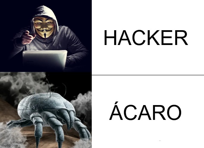 Diz-se Hacker... | HACKER; ÁCARO | image tagged in memes,hacker,portugal | made w/ Imgflip meme maker