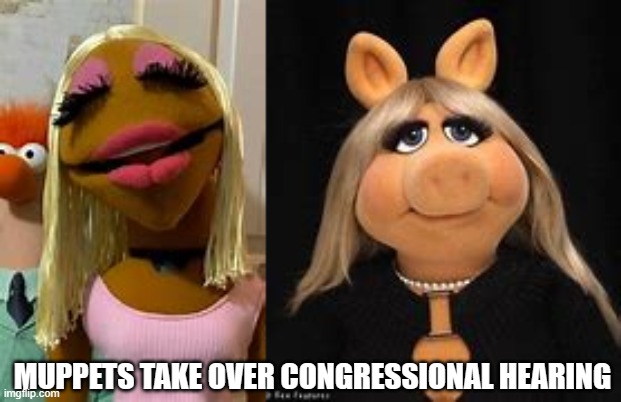 Mayorkas | MUPPETS TAKE OVER CONGRESSIONAL HEARING | image tagged in mtg,jasminecrocket | made w/ Imgflip meme maker