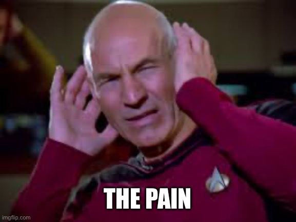 Captain Picard Covering Ears | THE PAIN | image tagged in captain picard covering ears | made w/ Imgflip meme maker