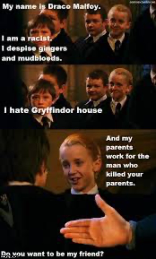 Harry Potters best friend | image tagged in harry potter | made w/ Imgflip meme maker