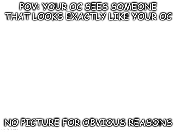 Blank White Template | POV: YOUR OC SEES SOMEONE THAT LOOKS EXACTLY LIKE YOUR OC; NO PICTURE FOR OBVIOUS REASONS | image tagged in blank white template | made w/ Imgflip meme maker