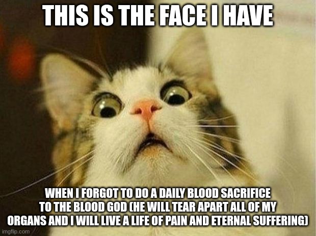 it do be like that | THIS IS THE FACE I HAVE; WHEN I FORGOT TO DO A DAILY BLOOD SACRIFICE TO THE BLOOD GOD (HE WILL TEAR APART ALL OF MY ORGANS AND I WILL LIVE A LIFE OF PAIN AND ETERNAL SUFFERING) | image tagged in memes,scared cat | made w/ Imgflip meme maker
