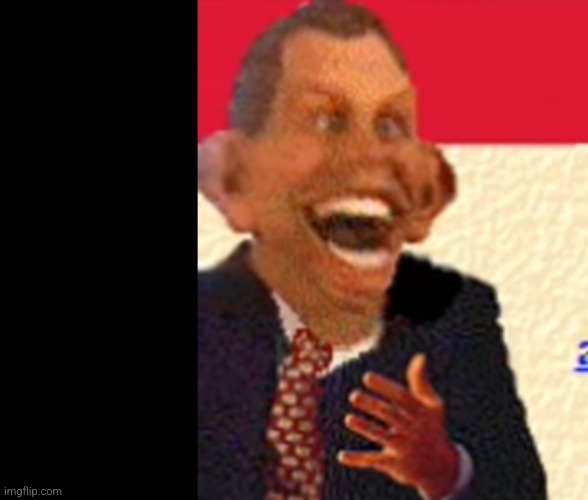 Idiot Politician | image tagged in idiot politician | made w/ Imgflip meme maker