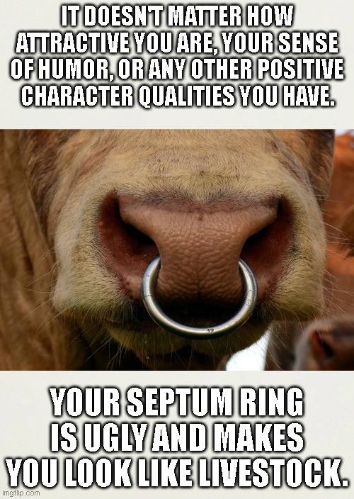Septum Rings | IT DOESN'T MATTER HOW ATTRACTIVE YOU ARE, YOUR SENSE OF HUMOR, OR ANY OTHER POSITIVE CHARACTER QUALITIES YOU HAVE. YOUR SEPTUM RING IS UGLY AND MAKES YOU LOOK LIKE LIVESTOCK. | image tagged in nose,piercings,bulls,ugly,trends,gen z | made w/ Imgflip meme maker