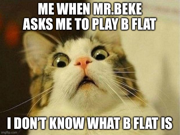 Band meme | ME WHEN MR.BEKE ASKS ME TO PLAY B FLAT; I DON’T KNOW WHAT B FLAT IS | image tagged in memes,scared cat | made w/ Imgflip meme maker