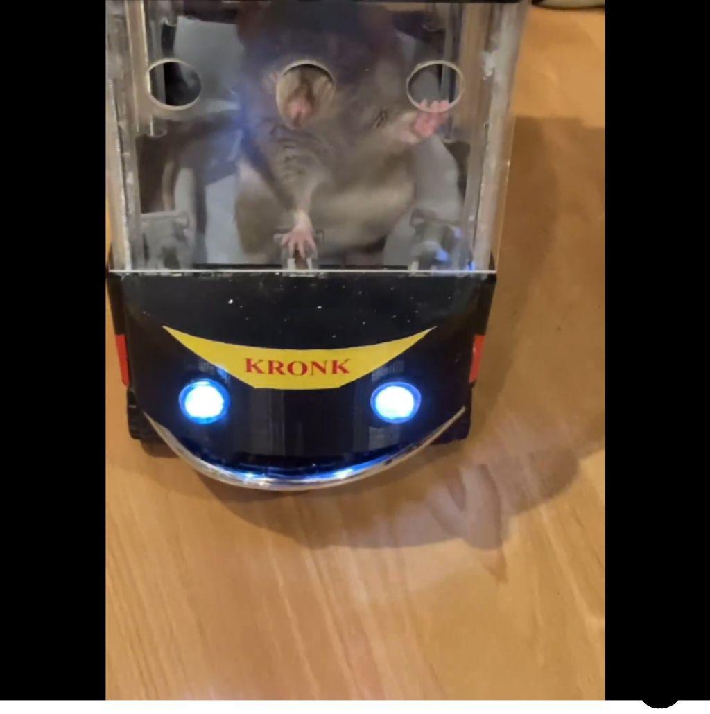 Rat taxi Blank Meme Template