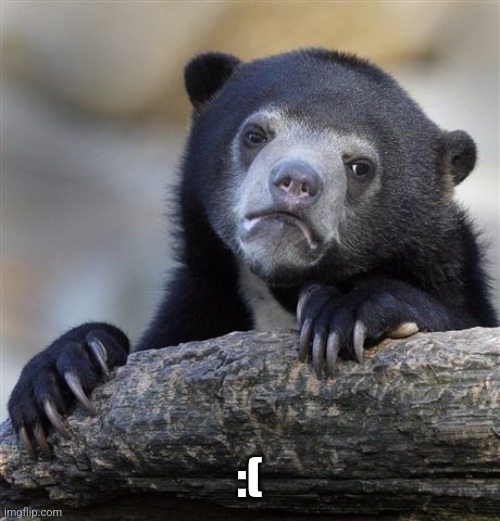 Confession Bear Meme | :( | image tagged in memes,confession bear | made w/ Imgflip meme maker