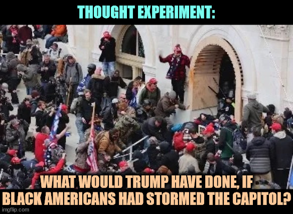 January 6th. What if? | THOUGHT EXPERIMENT:; WHAT WOULD TRUMP HAVE DONE, IF BLACK AMERICANS HAD STORMED THE CAPITOL? | image tagged in maga riot,capitol hill,blm,trump | made w/ Imgflip meme maker