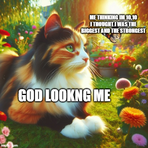 cats | ME THINKING IM 10,10 I THOUGHT I WAS THE BIGGEST AND THE STRONGEST; GOD LOOKNG ME | image tagged in gifs,funny | made w/ Imgflip meme maker