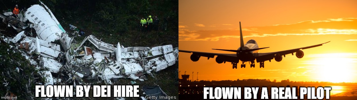 FLOWN BY A REAL PILOT; FLOWN BY DEI HIRE | image tagged in plane crash,plane landing in vegas | made w/ Imgflip meme maker