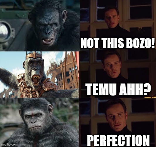 . | NOT THIS BOZO! TEMU AHH? PERFECTION | image tagged in perfection | made w/ Imgflip meme maker