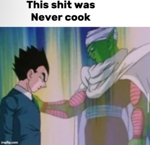 This shit was not it never cook again | image tagged in this shit was not it never cook again | made w/ Imgflip meme maker