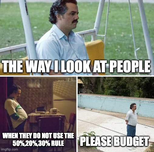Sad Pablo Escobar Meme | THE WAY I LOOK AT PEOPLE; WHEN THEY DO NOT USE THE
 50%,20%,30% RULE; PLEASE BUDGET | image tagged in memes,sad pablo escobar | made w/ Imgflip meme maker