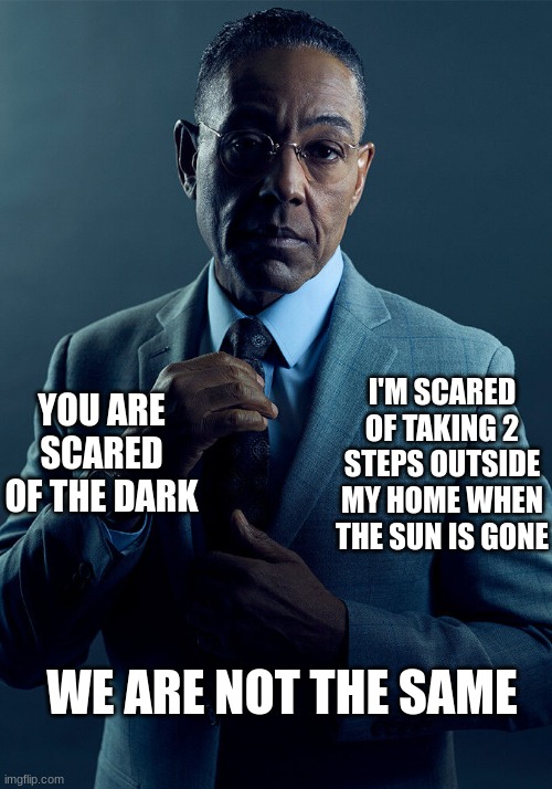 Gus Fring we are not the same | YOU ARE SCARED OF THE DARK; I'M SCARED OF TAKING 2 STEPS OUTSIDE MY HOME WHEN THE SUN IS GONE; WE ARE NOT THE SAME | image tagged in gus fring we are not the same | made w/ Imgflip meme maker